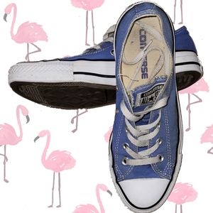 Converse Chuck Taylor All Star Ox Low Top Sneakers